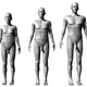 Illustration for article titled Latest science shows that size really does matter to women